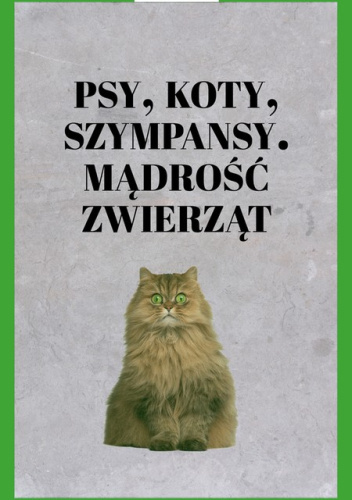Psy, koty, szympansy. Mądrość zwierząt