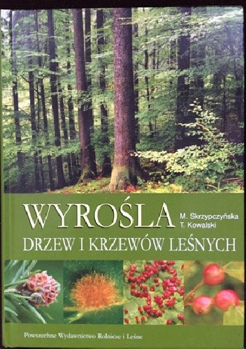 Wyrośla drzew i krzewów leśnych