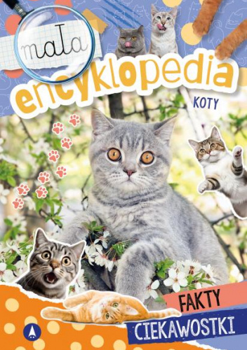 Koty. Mała encyklopedia