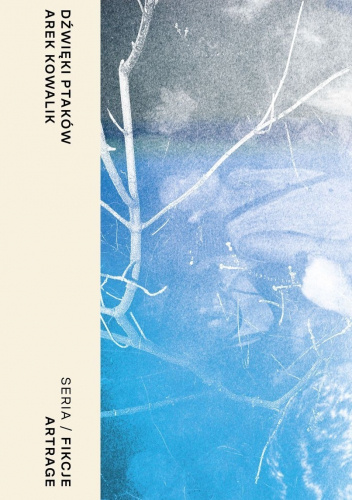 Dźwięki ptaków