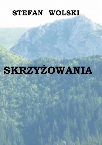 Skrzyżowania