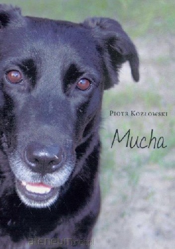 Mucha