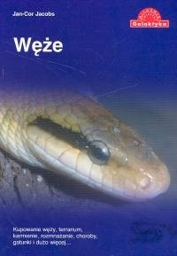 Węże. Kupowanie węży, terrarium, karmienie, rozmnażanie, choroby, gatunki i dużo więcej...