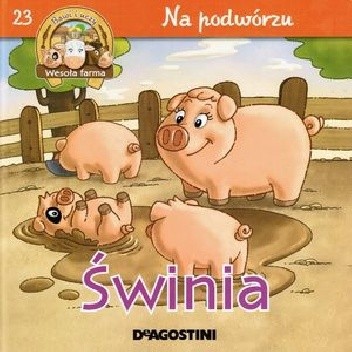Świnia. Na podwórzu
