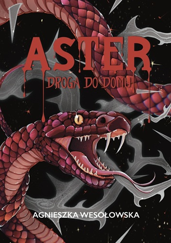 Aster. Droga do domu