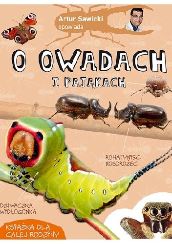Artur Sawicki opowiada o owadach i pająkach