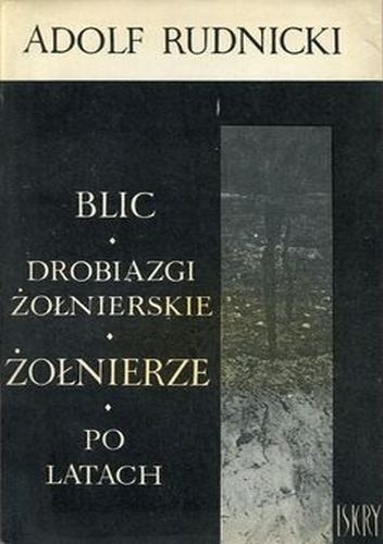 Blic. Drobiazgi żołnierskie. Żołnierze. Po latach