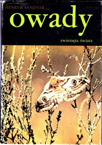 Owady