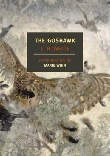 The Goshawk