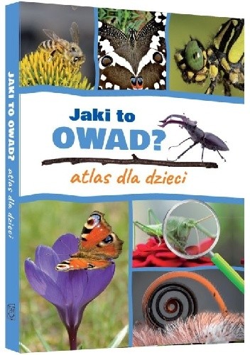 Jaki to owad? Atlas dla dzieci