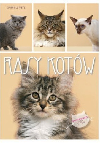 Rasy kotów