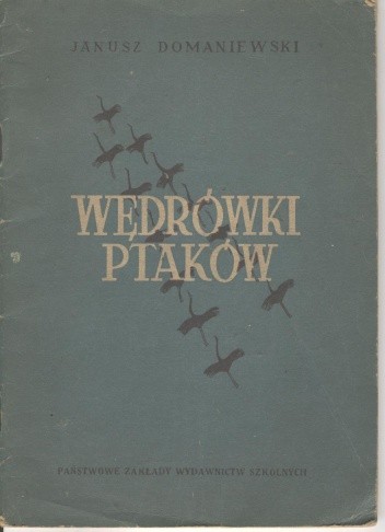 Wędrówki ptaków