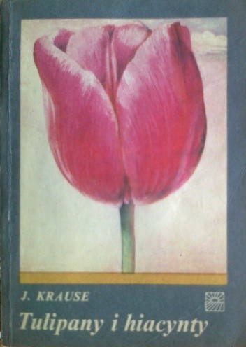 Tulipany i hiacynty