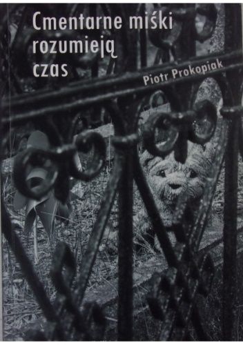 Cmentarne miśki rozumieją czas