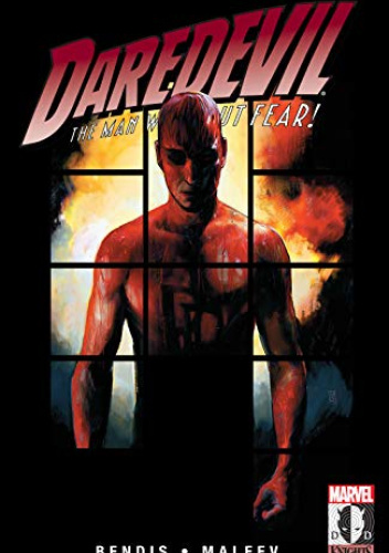 Daredevil Vol. 13: Murdock Papers