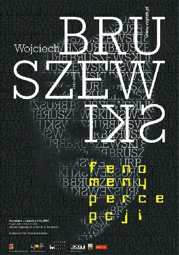 Wojciech Bruszewski. Fenomeny percepcji