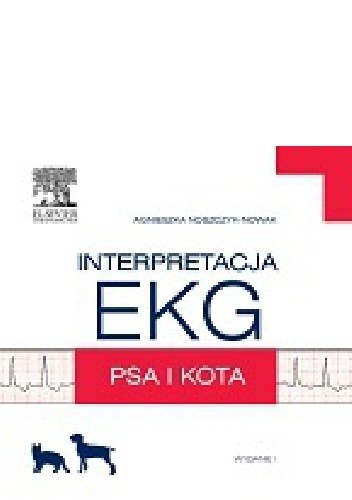 Interpretacja EKG psa i kota
