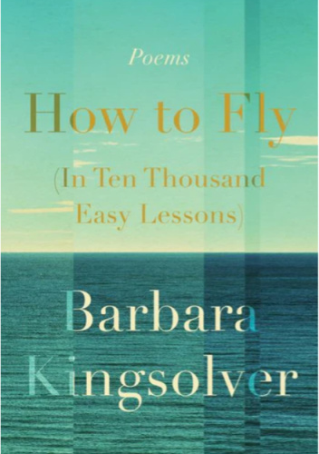 How to Fly in Ten Thousand Easy Lessons