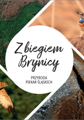 Z biegiem Brynicy
