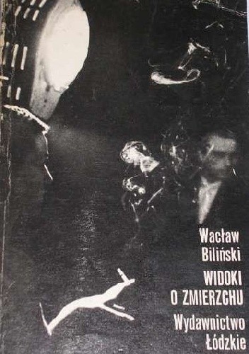Widoki o zmierzchu