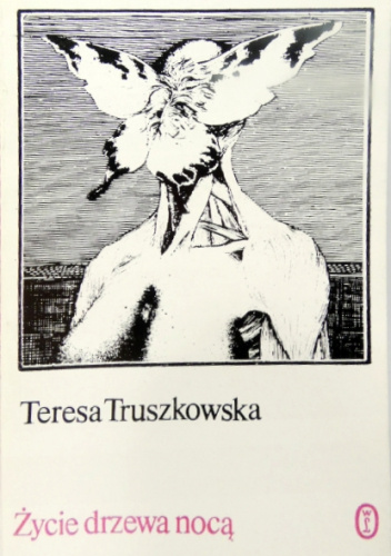 Życie drzewa nocą