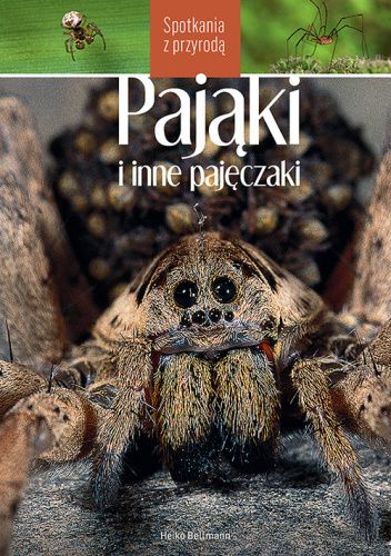 Pająki i inne pajęczaki