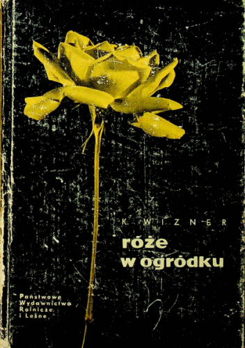 Róże w ogródku