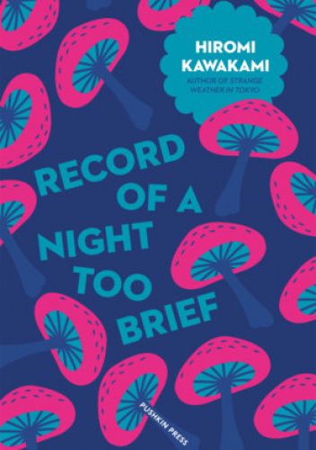 Record of a Night too Brief