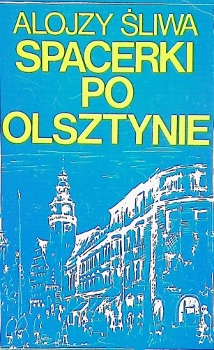 Spacerki po Olsztynie
