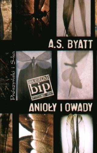 Anioły i owady
