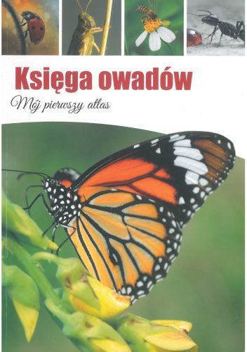 Księga owadów. Mój pierwszy atlas