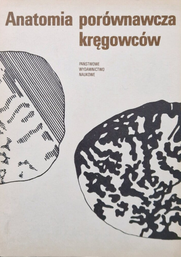 Anatomia porównawcza kręgowców