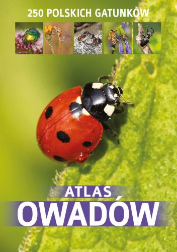 Atlas owadów