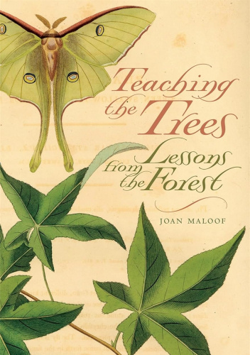 Teaching the Trees: Lessons from the Forest
