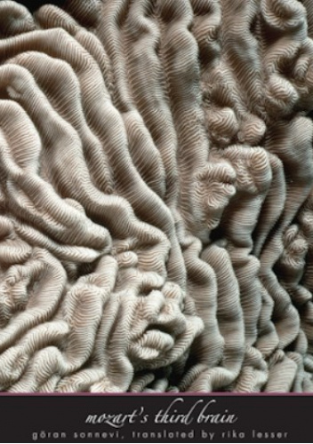 Mozart's Third Brain