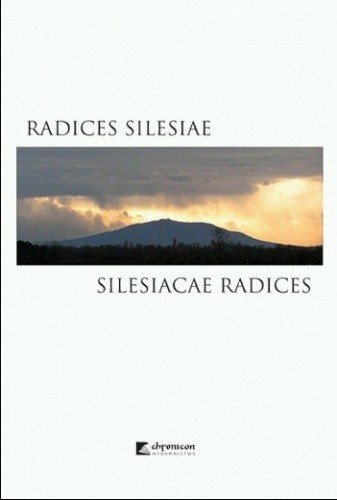 Radices Silesiae - Silesiacae radices. Śląsk: kraj, ludzie, memoria a kształtowanie się społecznych więzi i tożsamości (do końca XVIII w.)