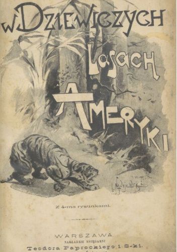 W dziewiczych lasach Ameryki. Powieść dla młodzieży