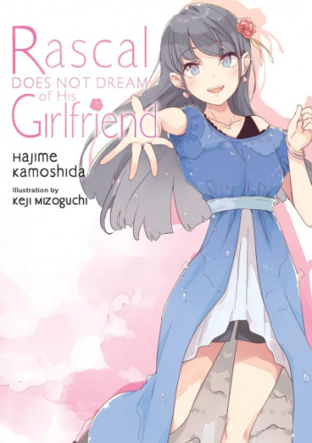 Rascal Does Not Dream of His Girlfriend (light novel)