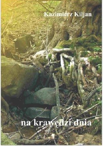 Na krawędzi dnia
