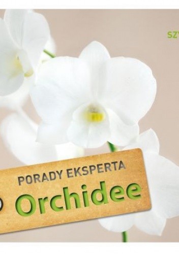 Orchidee