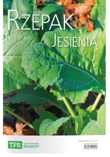 Rzepak jesienią