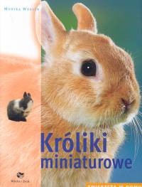 Króliki miniaturowe. Zwierzęta w domu