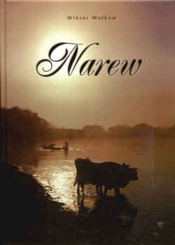 Narew