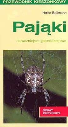 Pająki. Najważniejsze gatunki krajowe