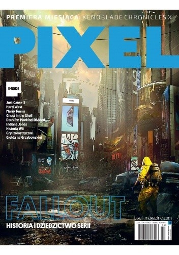 Pixel nr 11 (01/2016)