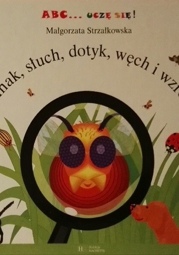 Smak, słuch, dotyk, węch i wzrok