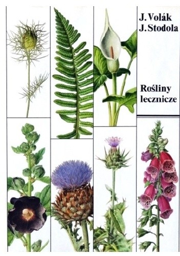 Rośliny lecznicze