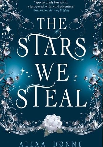 The Stars We Steal