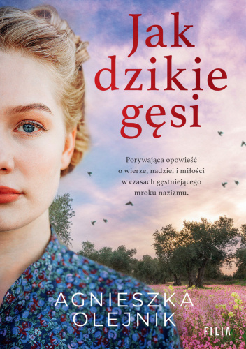 Jak dzikie gęsi