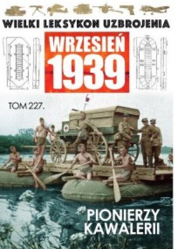 Szwadrony pionierów